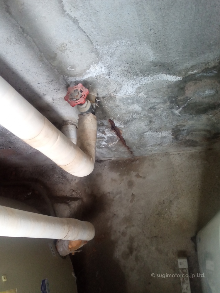 早い目に・・・