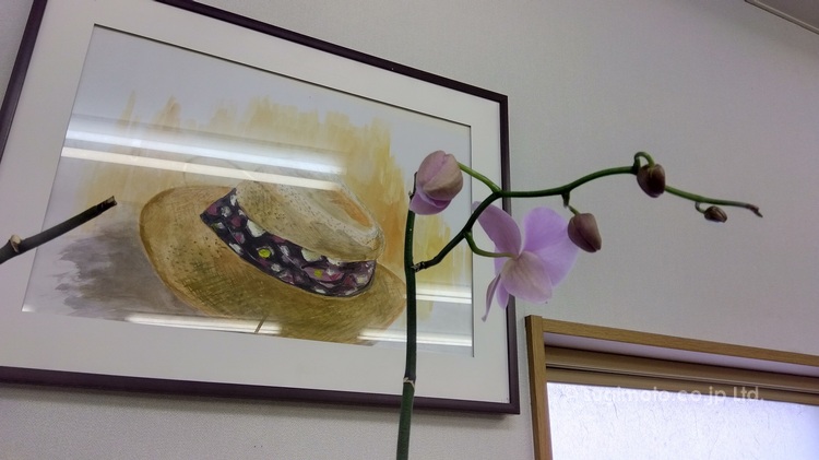開花しました(^^♪