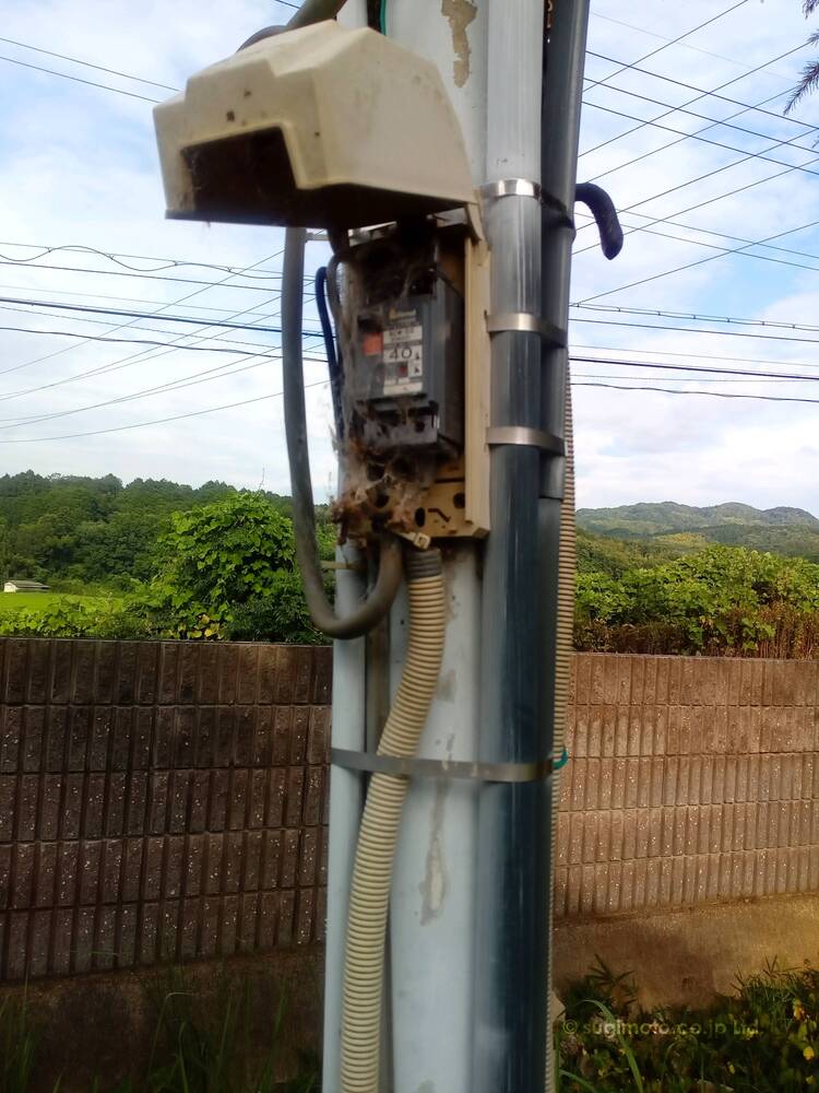 クモの巣でいっぱい